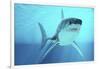 Great White Shark Swimming Underwater-null-Framed Art Print