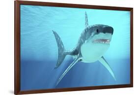 Great White Shark Swimming Underwater-null-Framed Art Print