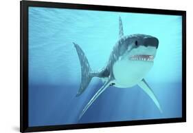 Great White Shark Swimming Underwater-null-Framed Art Print