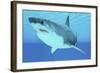 Great White Shark Swimming Underwater-null-Framed Art Print