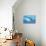 Great White Shark Swimming Underwater-null-Stretched Canvas displayed on a wall