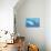 Great White Shark Swimming Underwater-null-Premium Giclee Print displayed on a wall