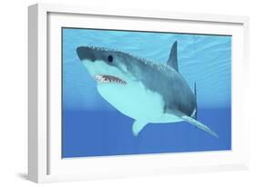 Great White Shark Swimming Underwater-null-Framed Premium Giclee Print