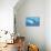 Great White Shark Swimming Underwater-null-Mounted Premium Giclee Print displayed on a wall