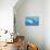 Great White Shark Swimming Underwater-null-Mounted Art Print displayed on a wall