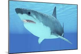 Great White Shark Swimming Underwater-null-Mounted Art Print