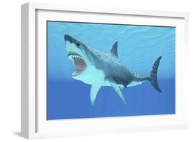 Great White Shark Swimming Underwater-null-Framed Premium Giclee Print