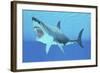 Great White Shark Swimming Underwater-null-Framed Premium Giclee Print