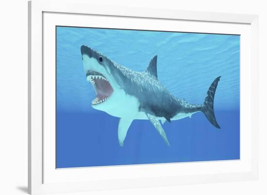 Great White Shark Swimming Underwater-null-Framed Art Print