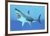 Great White Shark Swimming Underwater-null-Framed Art Print