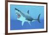 Great White Shark Swimming Underwater-null-Framed Art Print