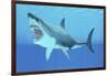 Great White Shark Swimming Underwater-null-Framed Art Print