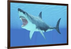 Great White Shark Swimming Underwater-null-Framed Art Print