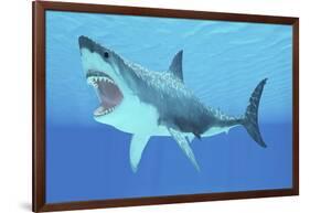 Great White Shark Swimming Underwater-null-Framed Art Print