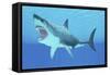 Great White Shark Swimming Underwater-null-Framed Stretched Canvas