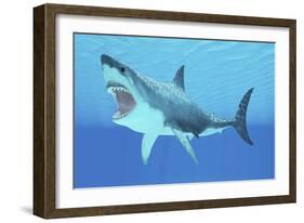 Great White Shark Swimming Underwater-null-Framed Art Print