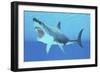 Great White Shark Swimming Underwater-null-Framed Art Print