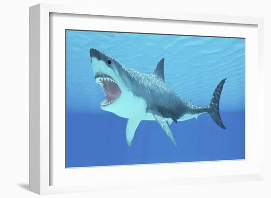 Great White Shark Swimming Underwater-null-Framed Art Print