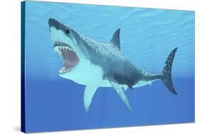 Great White Shark Swimming Underwater-null-Stretched Canvas