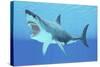 Great White Shark Swimming Underwater-null-Stretched Canvas