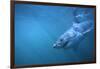 Great White Shark Swimming-DLILLC-Framed Photographic Print