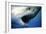 Great White Shark with Mouth Wide Open-null-Framed Photographic Print