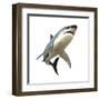 Great White Shark-null-Framed Art Print