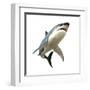 Great White Shark-null-Framed Art Print