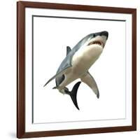 Great White Shark-null-Framed Art Print