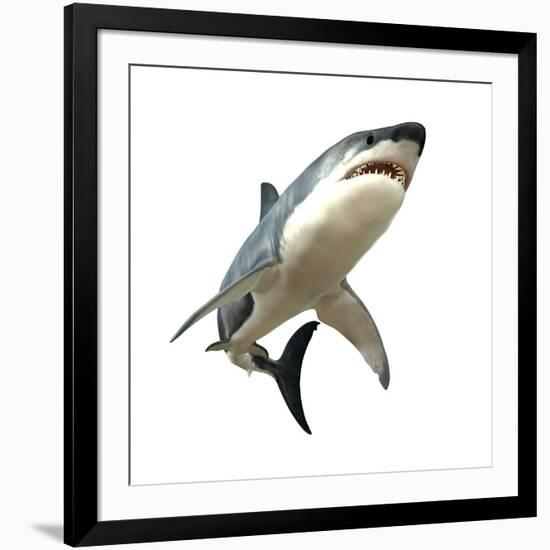 Great White Shark-null-Framed Art Print