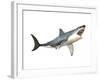 Great White Shark-null-Framed Art Print