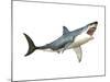 Great White Shark-null-Mounted Art Print