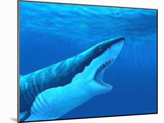 Great White Shark-Chris Butler-Mounted Photographic Print