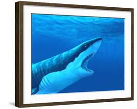 Great White Shark-Chris Butler-Framed Photographic Print