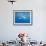 Great White Shark-DLILLC-Framed Photographic Print displayed on a wall