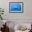 Great White Shark-DLILLC-Framed Photographic Print displayed on a wall