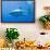 Great White Shark-DLILLC-Framed Photographic Print displayed on a wall