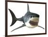 Great White Shark-null-Framed Art Print