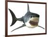 Great White Shark-null-Framed Art Print