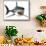 Great White Shark-null-Mounted Art Print displayed on a wall