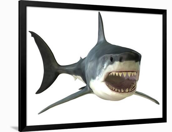 Great White Shark-null-Framed Art Print