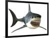 Great White Shark-null-Framed Art Print