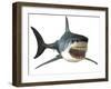 Great White Shark-null-Framed Art Print