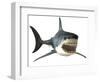 Great White Shark-null-Framed Art Print