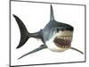 Great White Shark-null-Mounted Art Print