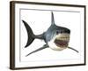 Great White Shark-null-Framed Art Print