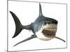 Great White Shark-null-Mounted Art Print