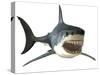 Great White Shark-null-Stretched Canvas