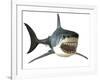 Great White Shark-null-Framed Art Print