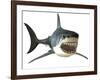 Great White Shark-null-Framed Art Print